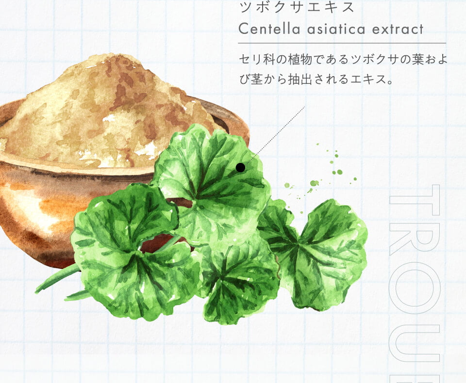 ツボクサエキス