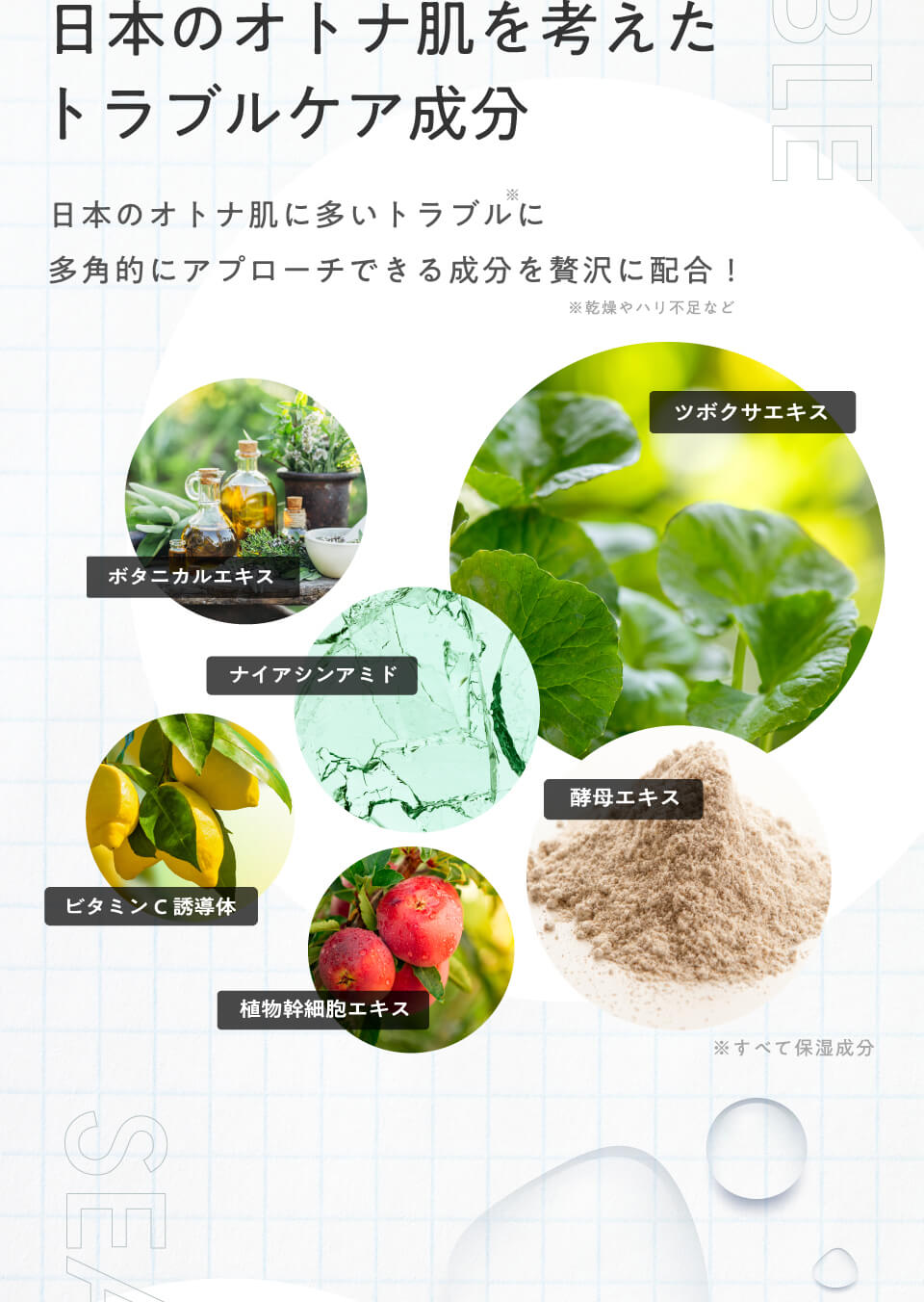 日本のオトナ肌を考えたトラブルケア成分
