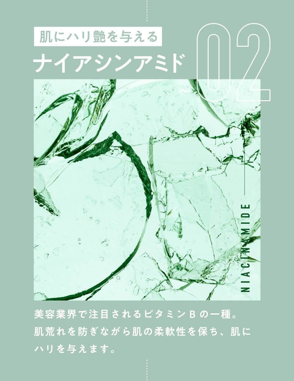 02 肌にハリ艶を与えるナイアシナミド
