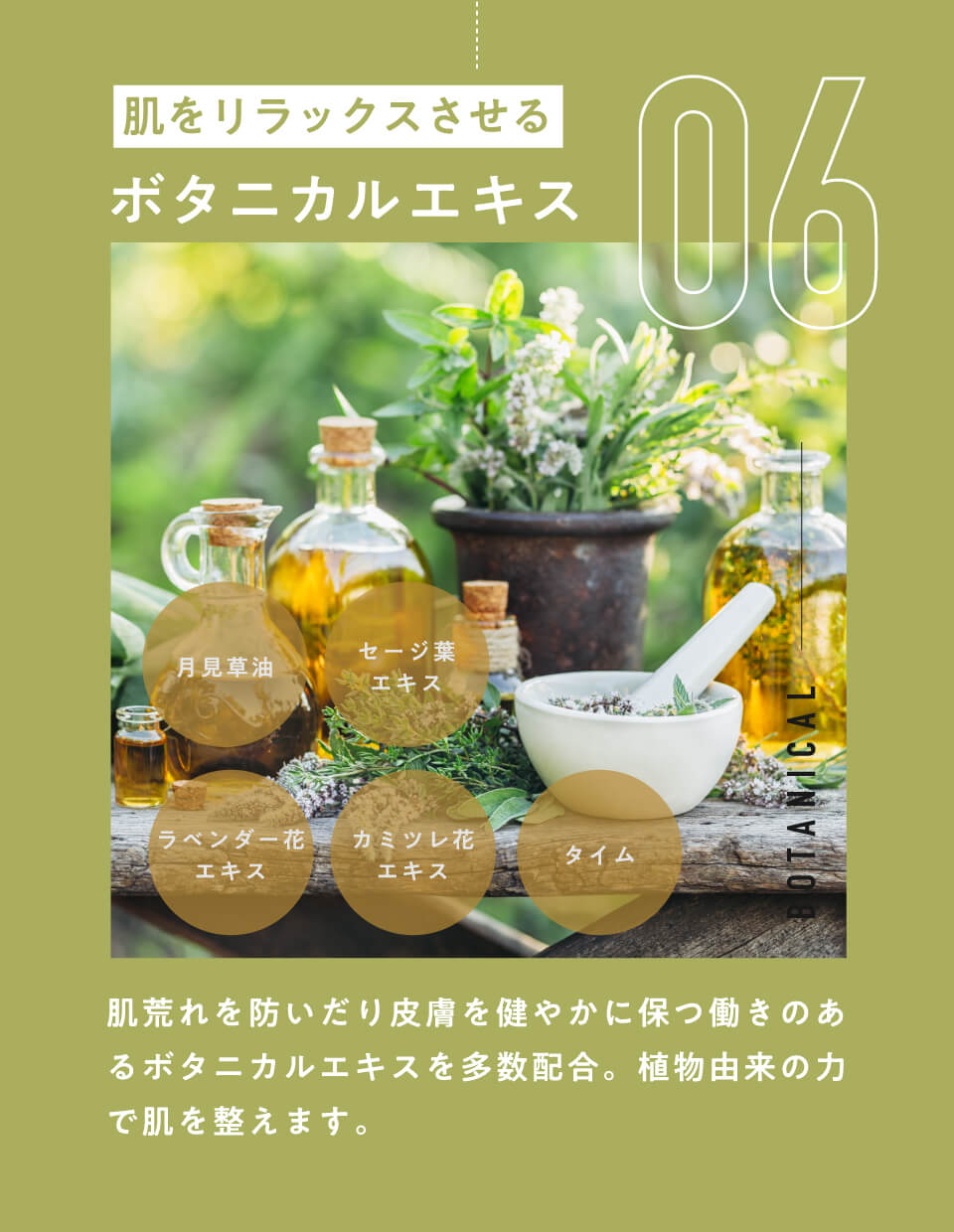 06 肌をリラックスさせるボタニカルエキス
