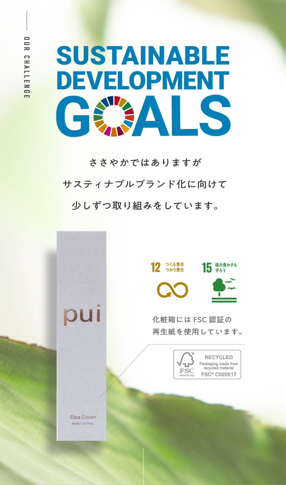 SUSTAINABLE DEVELOPMENT GOALS